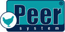 Peer System